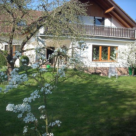 Ferienwohnung Lahntal/Taunus Huttenberg Dış mekan fotoğraf