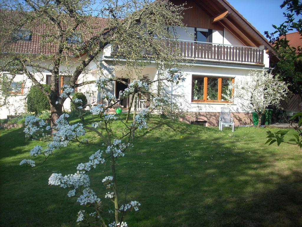 Ferienwohnung Lahntal/Taunus Huttenberg Dış mekan fotoğraf